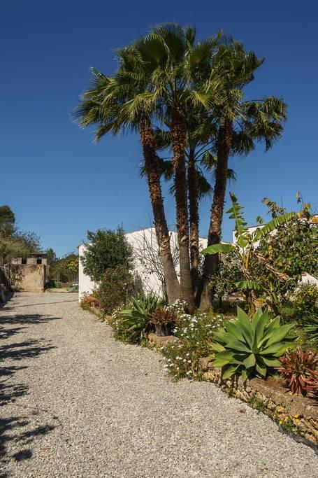 Can Beia Rural House Ibiza Nuestra Señora de Jesus Eksteriør billede